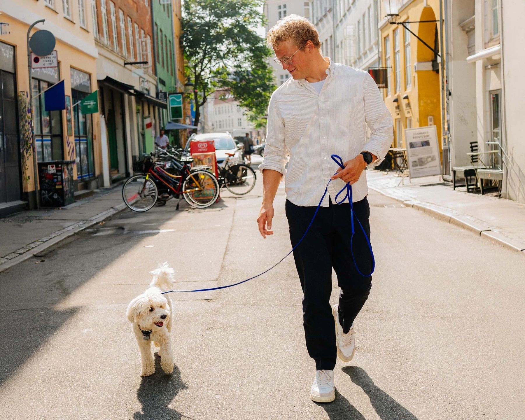 På gåtur med en lille hvid hund i byen